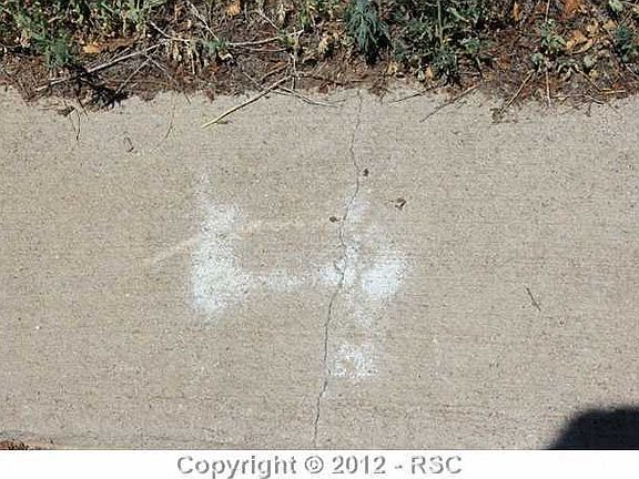 5th image of 2750 Park Crest Ct