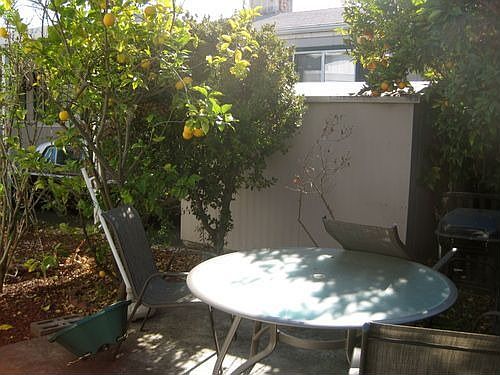 5th image of 1220 Tasman Dr Spc 243