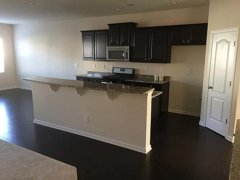 1009 Blue Stream Ln — Photo 5