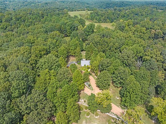 5th image of 7507 Ivorybill Ln