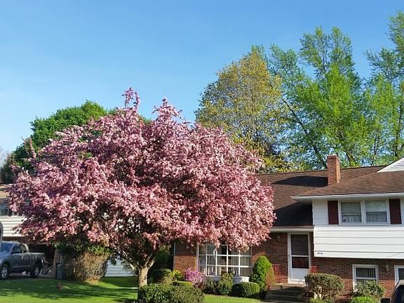 5th image of 3116 Belmont Ave