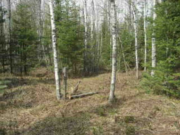Level Land
