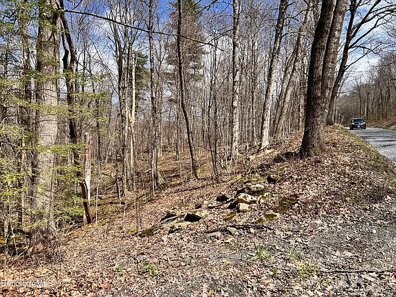 2nd image of 0 Goose Pond Rd Lot 4