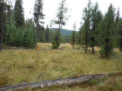 Dixie Crk, Prairie City, OR, 97869