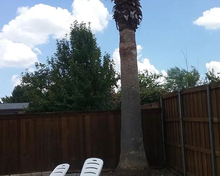 Winding Creek Dr — Photo 11
