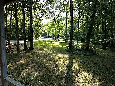 2244 Cooks Rd — Photo 2