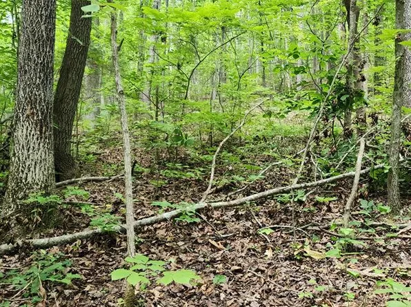 B010 Lakeview Cv, Holladay, TN 38341