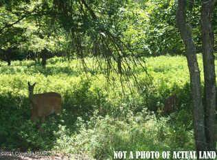 Elk Dr, Blakeslee, PA 18610