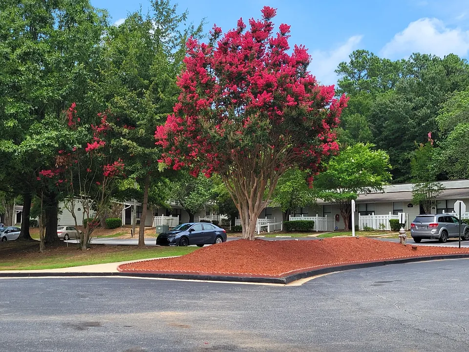 Southlake Cove