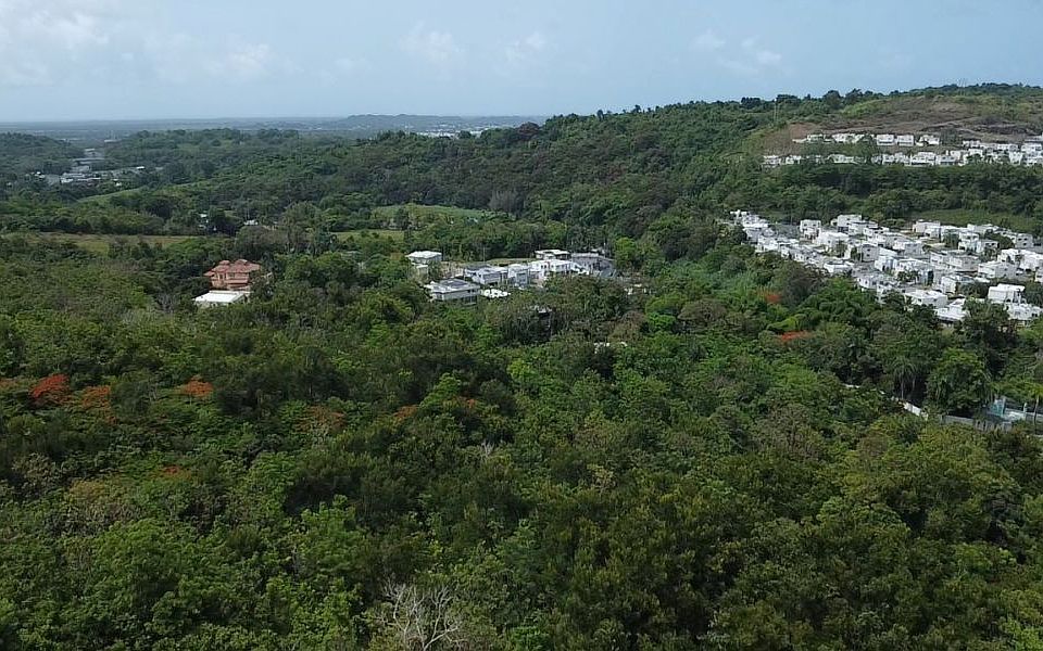 1st image of Bo Hato Puerco Carr 185 Km 4 #Home 5