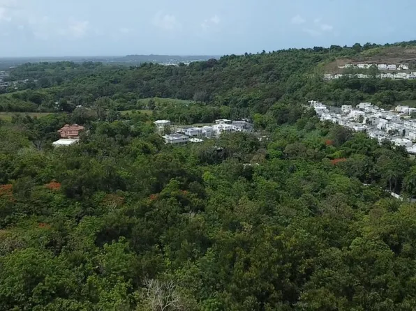 Bo Hato Puerco Carr 185 Km 4 #Home 5, Canovanas, PR 00729