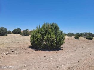 8430 Lake View Dr, Show Low, AZ 85901