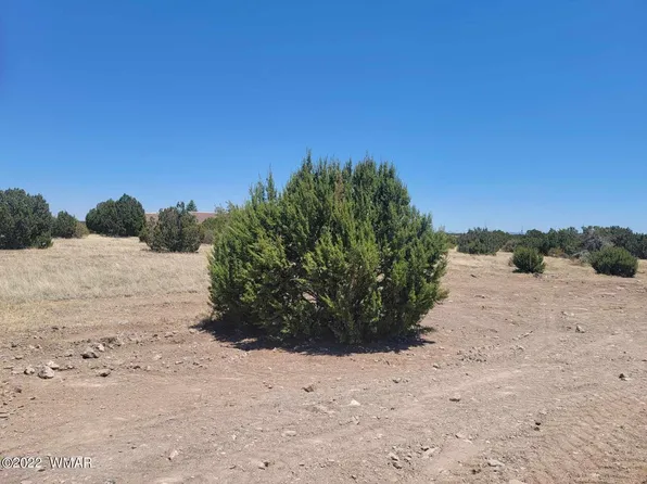 8430 Lake View Dr, Show Low, AZ 85901