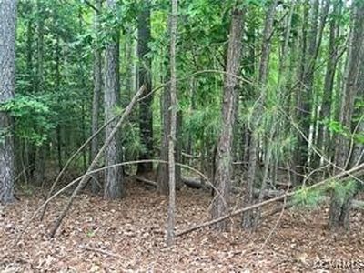 10830 Egret Ct, Chesterfield, VA, 23838