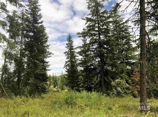 PARCEL 9 Bugle Rdg, Orofino, ID 83544