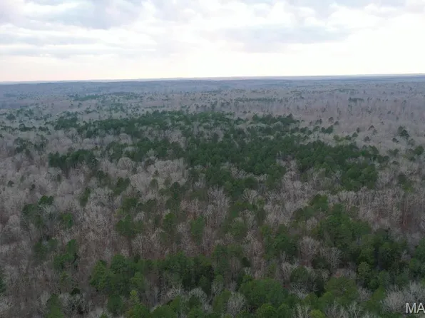 4 Timberlane Est, Doniphan, MO 63935