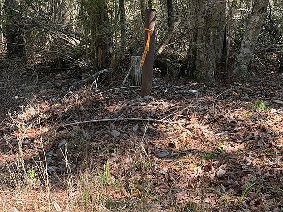 2nd image of Simmons Rd