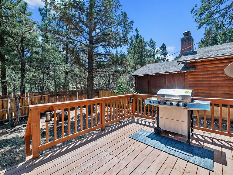355 Pine Ln — Photo 10
