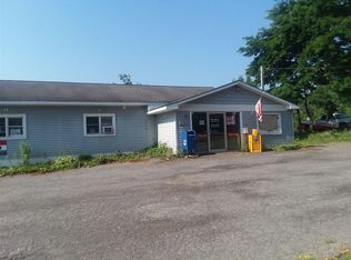 291 Chestnut St, Oneonta, NY 13820