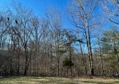 351 Pinoak Dr Lot 101, Kingston, TN, 37763