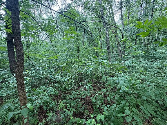 5th image of Hardy Lake Rd SW