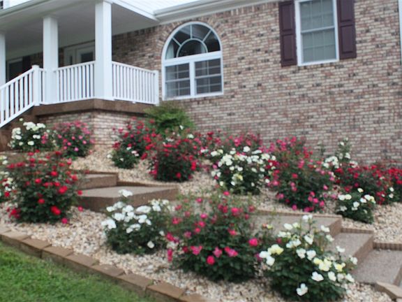 2nd image of 402 Dogwood Ln