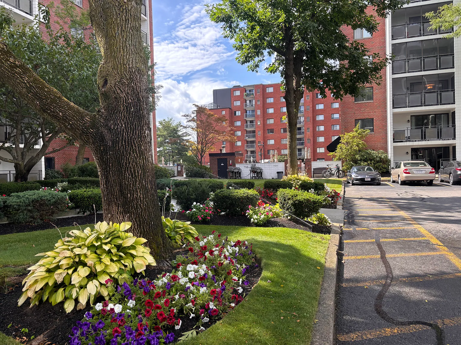 2 bed, 1200 sqft, $2,700 — Photo 3