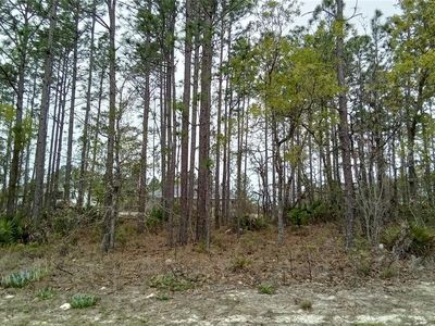 SW 131st Loop Lot 25, Ocala, FL, 34473