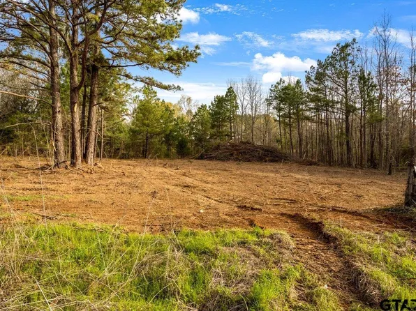 19353 County Road 2153 Lot 1, Troup, TX 75789
