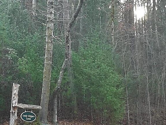 4th image of 509 Lady Slipper Ln #124
