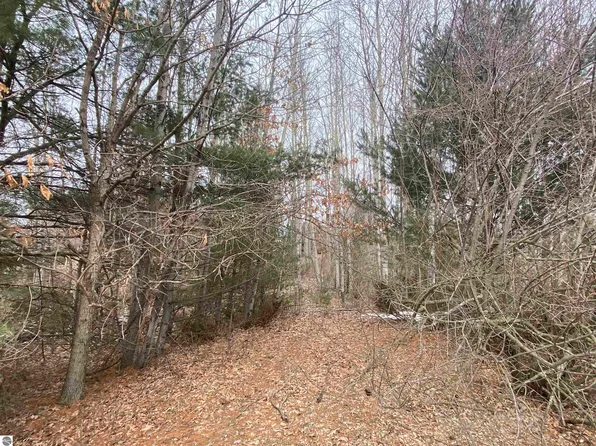 LOT 33 Scenic Hills Dr, Williamsburg, MI 49690