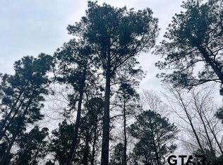 Highway 79 Tract #3, New Summerfield, TX 75780