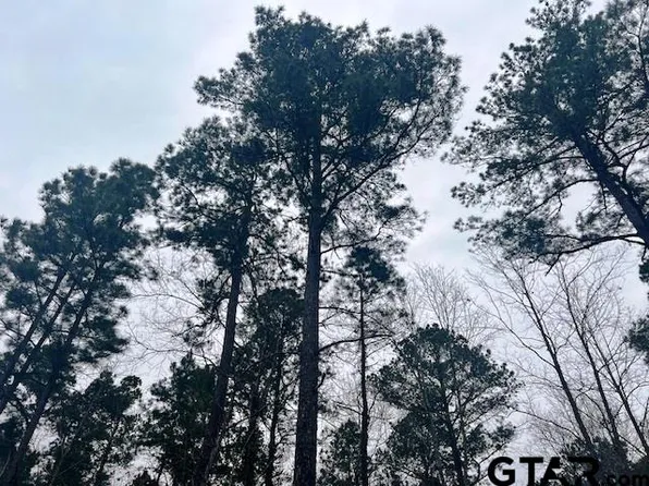 Highway 79 Tract #3, New Summerfield, TX 75780