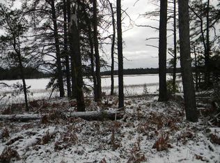 0 County Road 437, Newberry, MI 49868