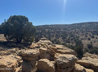 20 County Road N6583 #869, Saint Johns, AZ 85936