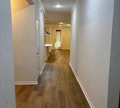 3rd image of 4211 False Cypress Ln