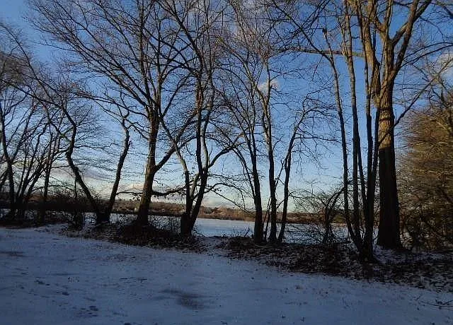 Back View Winding Trail