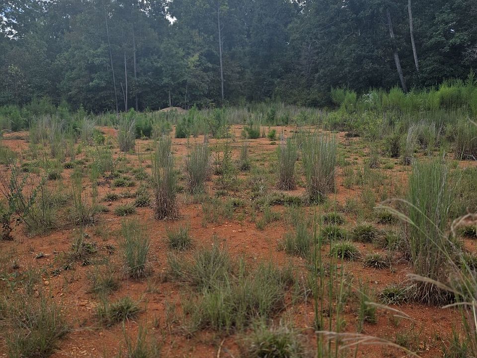 1st image of 890 Forrester Cemetery Rd