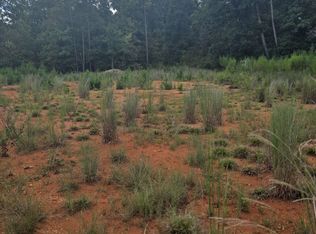 890 Forrester Cemetery Rd, Covington, GA 30014