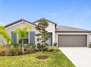 5423 Rainwood Meadows Dr, Apollo Beach, FL 33572