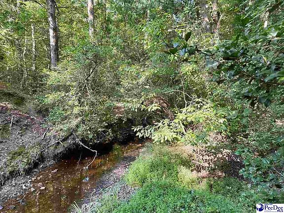 5th image of 1020 S Scotch Rd