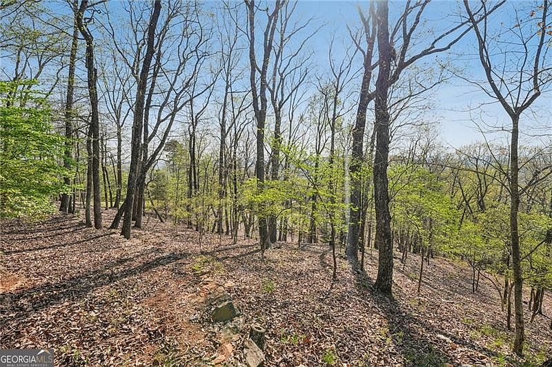 1st image of 8240 Cox Mountain Dr