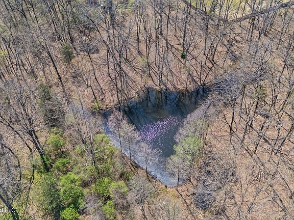 3rd image of 8730 College Rd