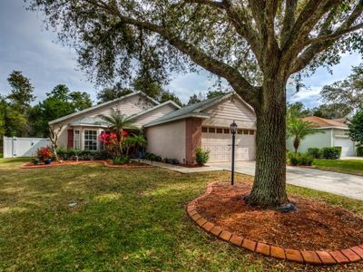 6431 Golden Leaf Ct, Lakewood Ranch, FL, 34202