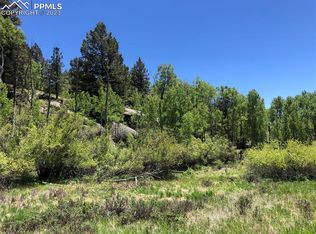 741 Pinon Ln, Florissant, CO 80816