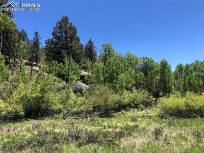 741 Pinon Ln, Florissant, CO, 80816