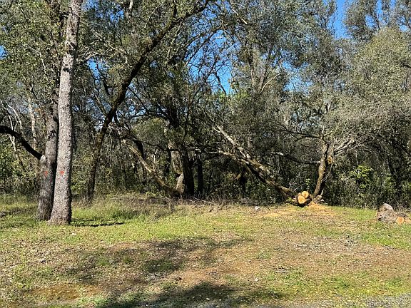 5th image of 1001 Old Airport Rd