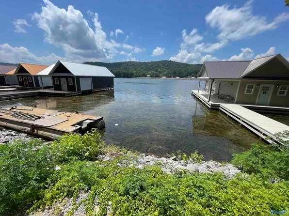 1 Pine Island Cir, Scottsboro, AL 35769