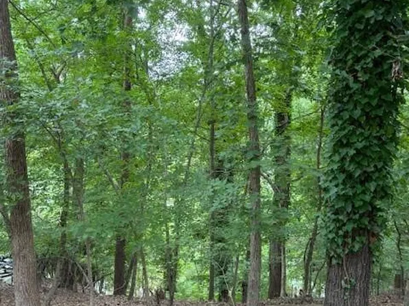 10045 Tepa Pl, Tega Cay, SC 29708