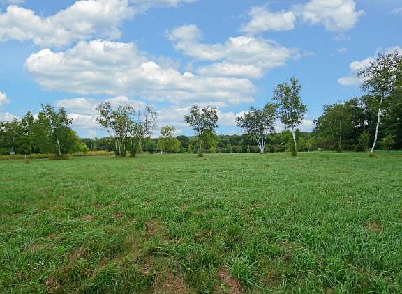 5th image of 12527 Riverview Trl